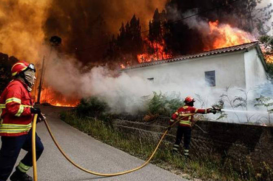 Число жертв лесных пожаров в Испании и Португалии достигло 45 человек