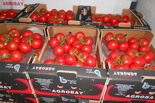 Первая партия помидоров из Турции прибыла в Российскую Федерацию