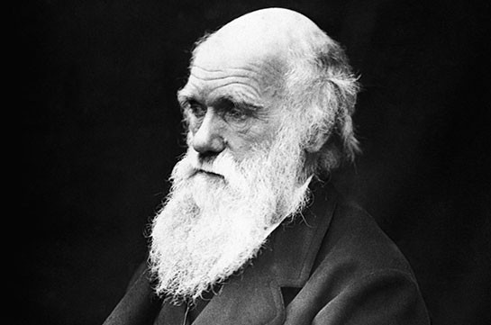 Письмо Чарльза Дарвина о Боге продали за $125 тыс.