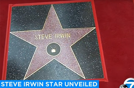 В Голливуде открыли звезду Стива Ирвина (Видео)