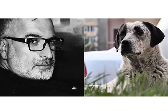 Սցենարիստ Հարություն Ղուկասյանը պատրաստվում է ֆիլմ նկարել «Իմ քայլը» շարժման մասնակից Քայլո շան մասին. մանրամասնում է սցենարիստը