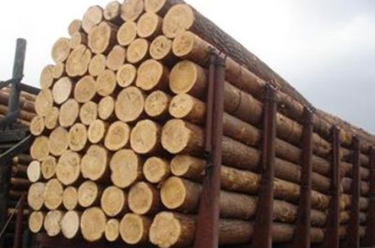Россия устранила препятствие для поставок в Армению древесины через КПП «Верхний Ларс»