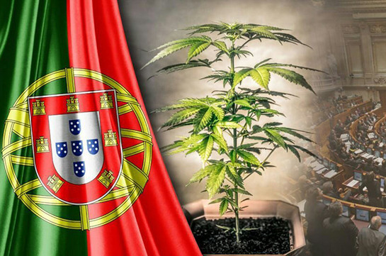 В Португалии одобрили легализацию использования каннабиса