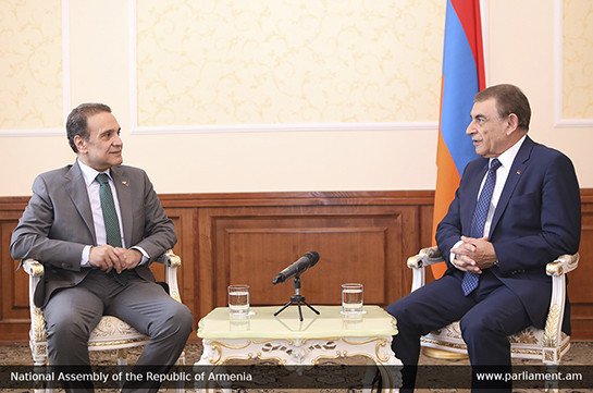 Ара Баблоян высоко оценил взвешенную позицию Египта в важнейших для Армении вопросах