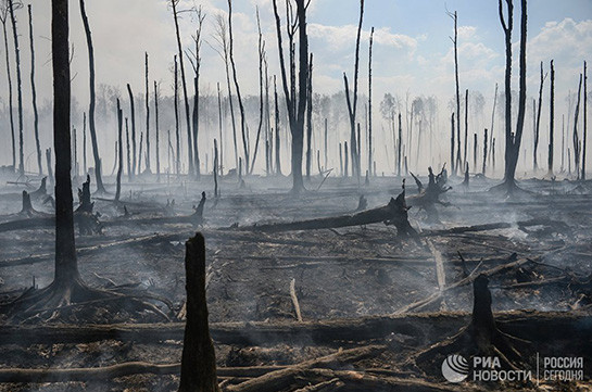 Ինդոնեզիայում զինծառայողներին թույլատրվել է առանց զգուշացման կրակ բացել անտառները հրդեհող քաղաքացիների վրա