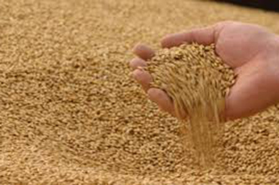 Նախնական պայմանավորվածությամբ՝ վրացական երկաթուղին Հայաստան ներկրվող ցորենի համար կկիրառի զեղչային համակարգ