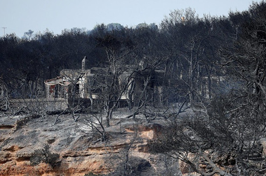 Число погибших в результате природных пожаров в Греции достигло 99
