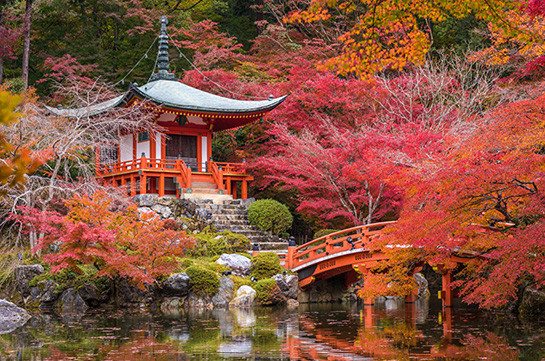 В Японии еще в одном городе придется платить туристический налог
