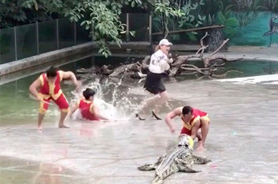 Дрессировщик свалился в пруд с крокодилами во время шоу