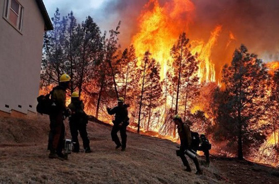 Число жертв пожаров в Калифорнии возросло до 58 человек