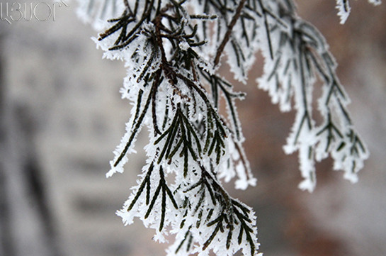 Դեկտեմբերի 12-13-ը շրջաններում սպասվում են տեղումներ և մառախուղ, լեռնային շրջաններում՝ ձյուն