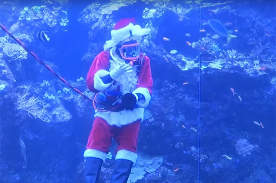 Новый год под водой: в Калифорнии Санта-Клаус поздравил детей из аквариума