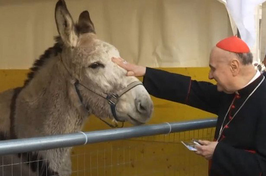 В Испании священники благословили домашних и фермерских животных
