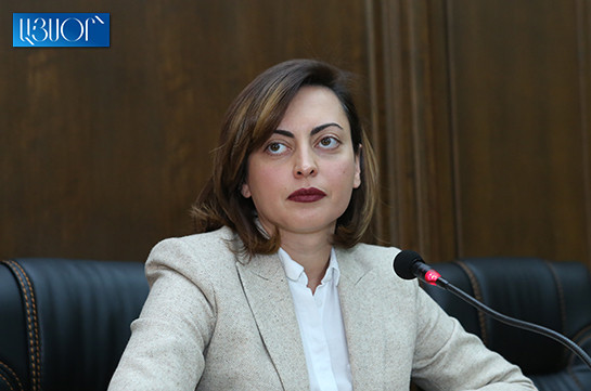Критика оппозиции была немного неубедительной – Лена Назарян