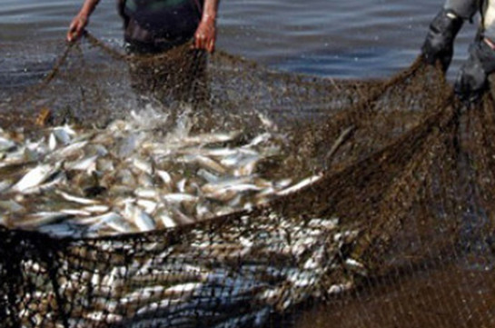 Սևանա լճից ապօրինի ձկնորսություն կատարելու դեպքի առթիվ հարուցվել է քրեական գործ