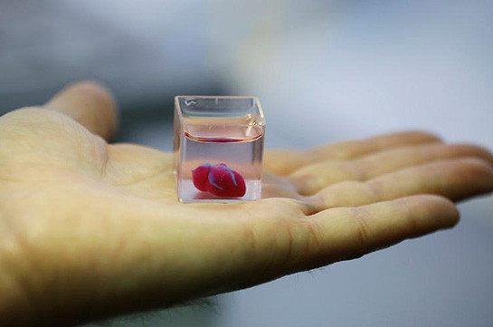 Գիտնականները 3D-տպիչով սիրտ են ստեղծել