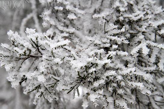 Լոռիում, Սյունիքի և Տավուշի նախալեռներում սպասվում է ձյուն