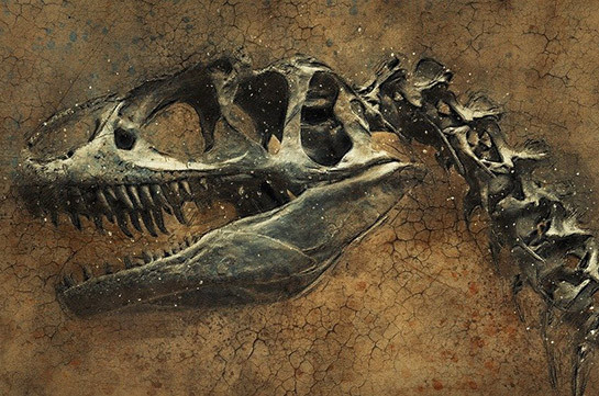 В Аргентине нашли останки динозавров возрастом 220 млн лет (Видео)