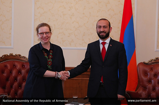 Արարատ Միրզոյանն ընդունել է Երևանում Եվրոպայի խորհրդի գրասենյակի ղեկավարին