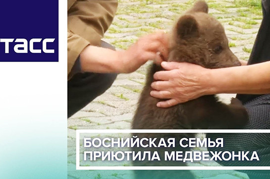 Боснийская семья приютила медвежонка (Видео)
