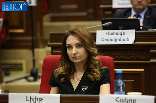 Законопроект о веттинге почти готов – заявление Лилит Макунц стало сюрпризом для оппозиции