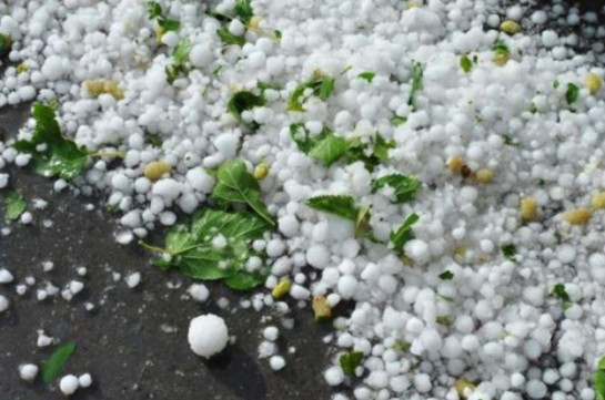 Heavy hail harms fields and gardens in Martuni (video)