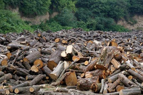 Парламент Армении принял в первом чтении законопроект о криминализации незаконной вырубки леса