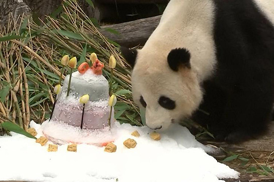 Торт для панды (Видео)