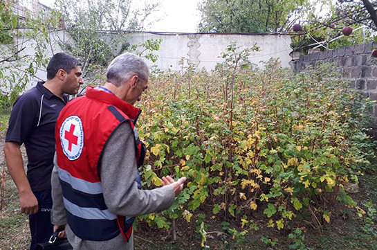 Հայկական Կարմիր խաչի ընկերությունը մարդասիրական օգնություն կտրամադրի Շիրակի մարզի կարկուտից առավել տուժած ընտանիքներին