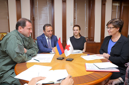 Министр обороны Армении принял представителей МККК
