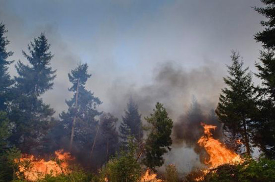 В Индонезии сообщили об ухудшении ситуации с лесными пожарами