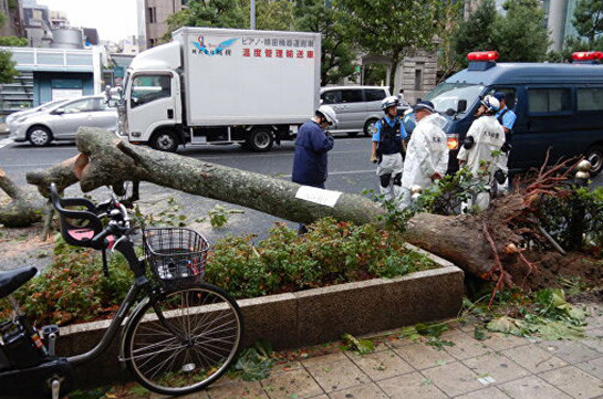 В Японии из-за тайфуна 20 раненых, около 930 тысяч жилищ остались без света