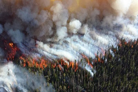 В Якутии лесные пожары уничтожили более 20 тысяч гектаров за выходные