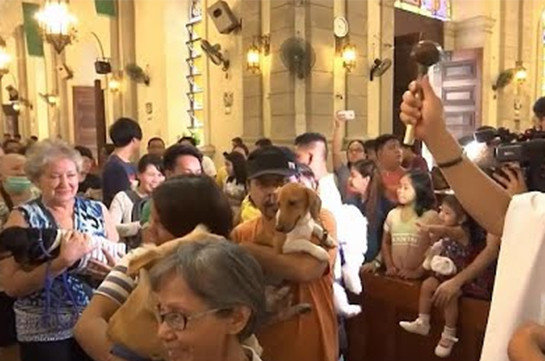 В Маниле прошел праздник благословения животных (Видео)
