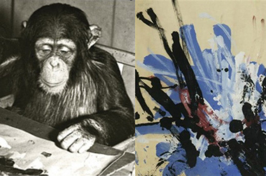 Конго, шимпанзе и художник (Видео)