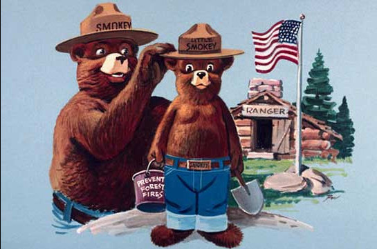 The most effective firefighter in the U.S. SmokeyBear will visit Armenia