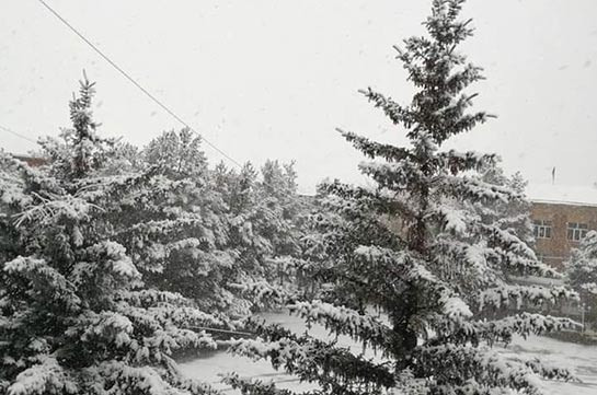 Heavy snow registered in some Armenian regions (photos)