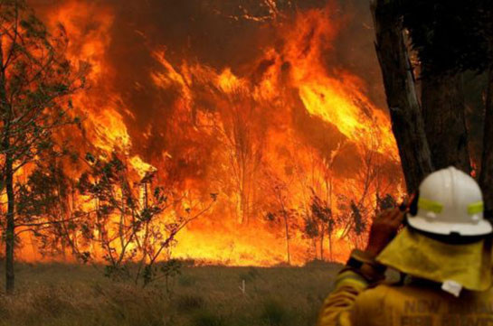 Australia bushfires: Two dead in New South Wales blazes