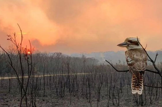 Australia bushfires: Fresh warnings in Queensland and New South Wales