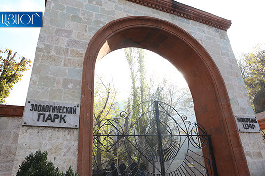 Yerevan Zoo has new director