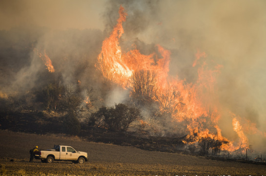 Лесные пожары уничтожили на востоке Австралии свыше 680 жилых домов