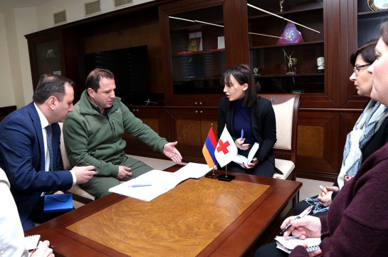 Давид Тоноян обсудил с делегацией МККК судьбу удерживаемых в Азербайджане граждан Армении
