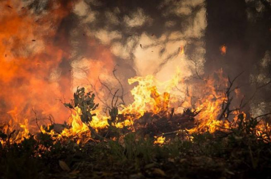 Красный уровень опасности объявили в Чили из-за природных пожаров