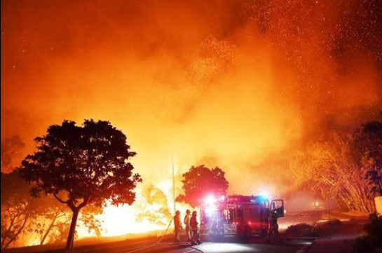В австралийском штате объявили режим ЧС из-за пожаров