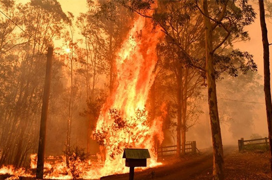 Australia bushfires: Mega blaze likely on Friday evening