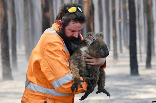 Власти Австралии выделят пострадавшим от пожаров дополнительно более $40 млн