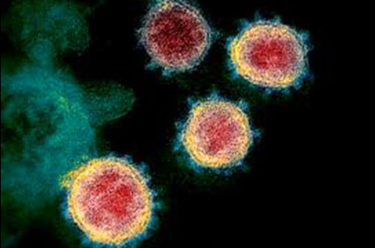 Coronavirus most active at about 4 degrees Celsius, scientists say