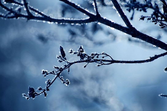 Մարտունի, Հրազդան, Ջերմուկ քաղաքներում և Դիլիջանի ոլորաններում ձյուն է տեղում