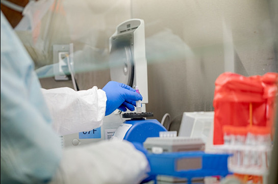 В Бельгии за сутки выявили 250 новых случаев заражения коронавирусом
