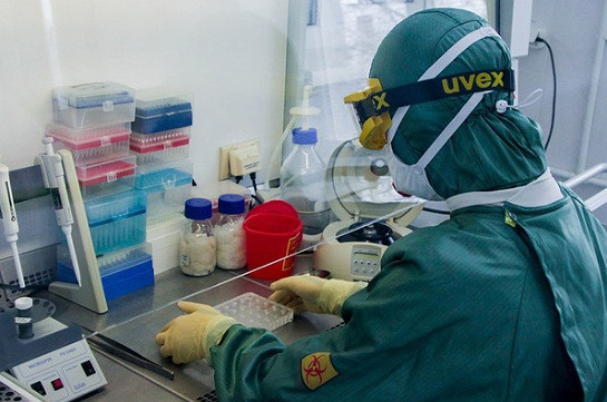 В Германии за сутки выявили 432 случая коронавируса